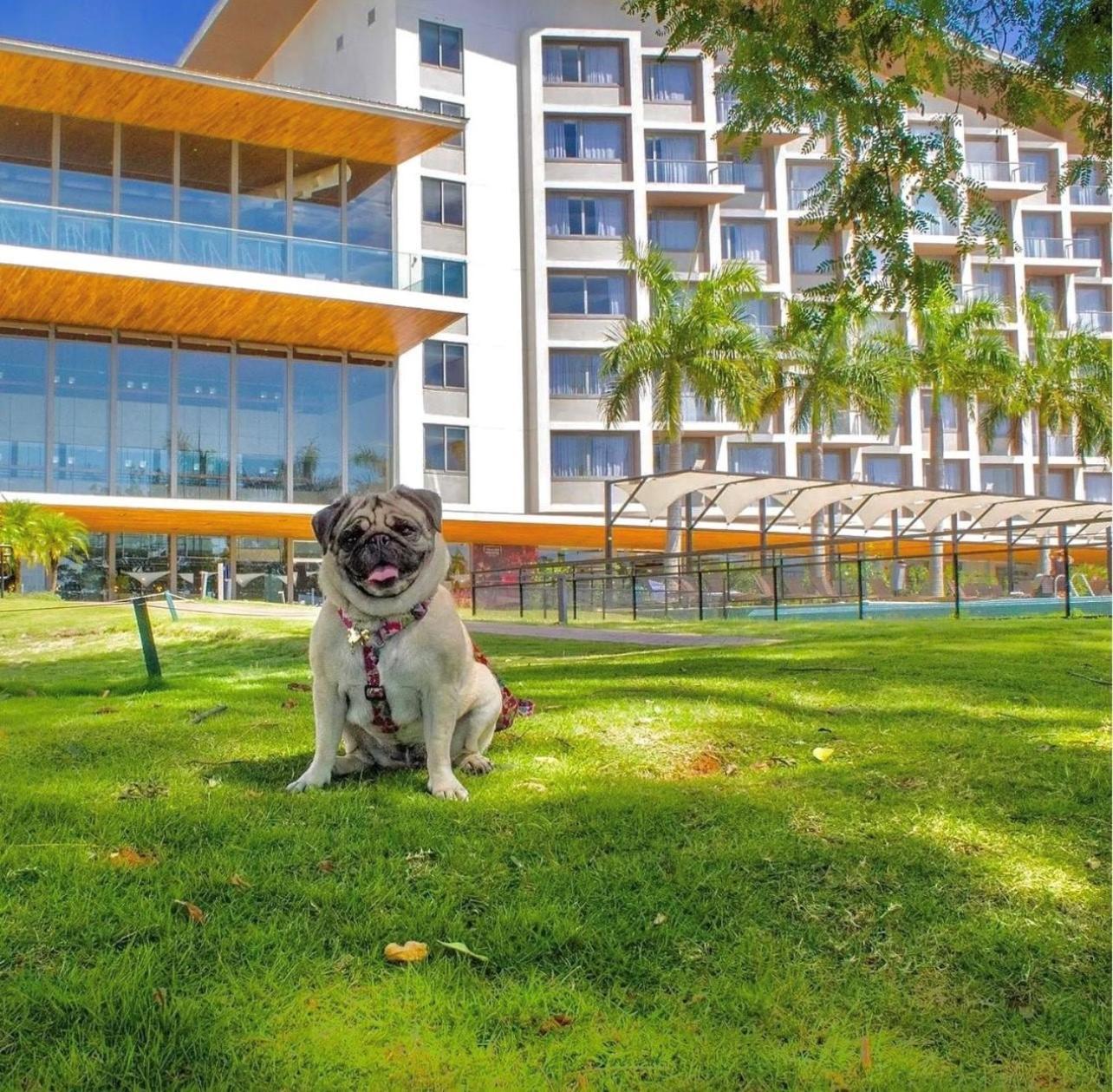 Novotel Itu Terras De Sao Jose Golf & Resort Exterior photo